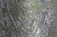 Lewes fibreglass roof work